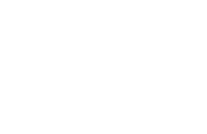 south allaince logo