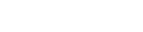 South Alliance Text Logo